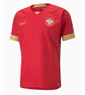 Serbia Replica Home Stadium Shirt World Cup 2022 Short Sleeve